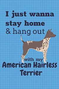 I just wanna stay home & hang out with my American Hairless Terrier