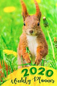 Cute squirrel themed 2020 weekly planner