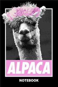 Alpaca Notebook