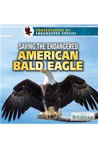 Saving the Endangered American Bald Eagle