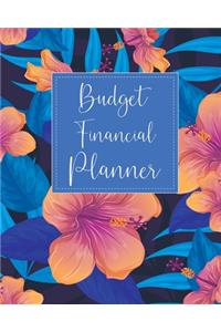 Budget Financial Planner