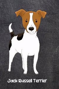 Jack Russell Terrier