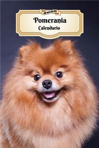 2020 Pomerania Calendario