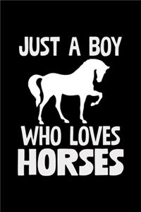 Just A Boy Who Loves Horses