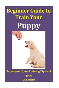 Beginner Guide to Train Your Puppy: Important Home Training Tips and Trick