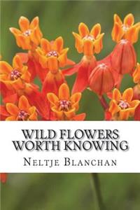 Wild Flowers Worth Knowing