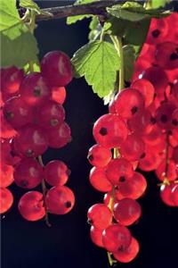 Red Currant Berries Journal