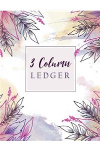 3 Column Ledger