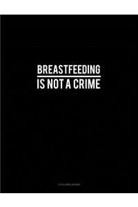 Breastfeeding Is Not a Crime: 3 Column Ledger