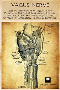 Vagus Nerve
