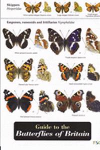 Guide to the Butterflies of Britain