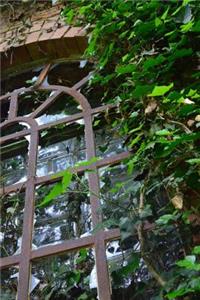 Beautiful Ivy Covered Window Journal