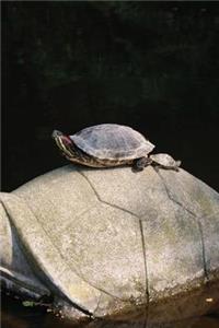 Turtle Notebook