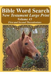 Bible Word Search New Testament Large Print Volume 43