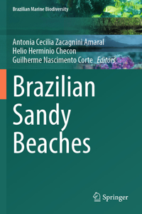 Brazilian Sandy Beaches