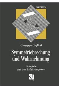 Symmetriebrechung Und Wahrnehmung