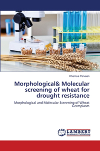 Morphological& Molecular screening of wheat for drought resistance