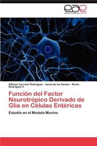 Función del Factor Neurotrópico Derivado de Glia en Células Entéricas