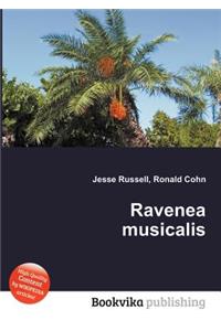 Ravenea Musicalis