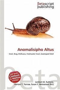 Anomalisipho Altus