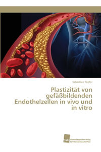 Plastizität von gefäßbildenden Endothelzellen in vivo und in vitro