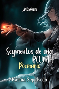 Segmentos de una pluma
