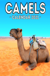 Camels Calendar 2021