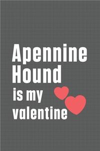 Apennine Hound is my valentine