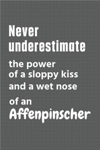 Never underestimate the power of a sloppy kiss and a wet nose of an Affenpinscher