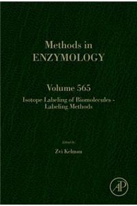 Isotope Labeling of Biomolecules - Labeling Methods