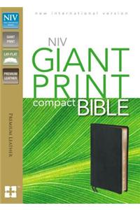 Giant Print Compact Bible-NIV