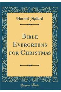 Bible Evergreens for Christmas (Classic Reprint)