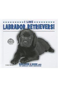I Like Labrador Retrievers!