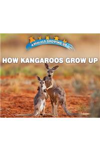 How Kangaroos Grow Up