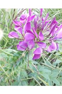 School Composition Book Pretty Purple Petals
