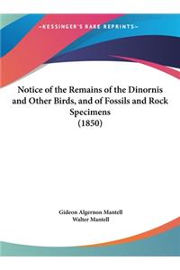 Notice of the Remains of the Dinornis and Other Birds, and of Fossils and Rock Specimens (1850)