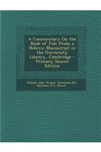 A Commentary on the Book of Job: From a Hebrew Manuscript in the University Library, Cambridge