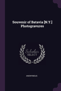 Souvenir of Batavia [N.Y.] Photogravures