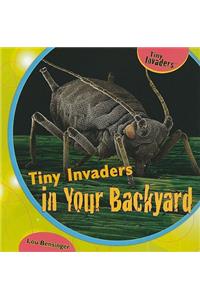 Tiny Invaders in Your Backyard