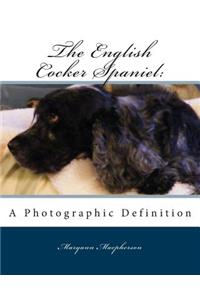 English Cocker Spaniel