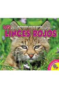 Los Linces Rojos
