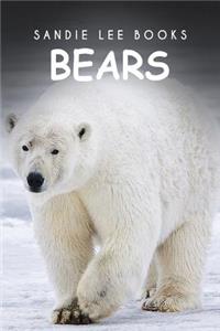 Bear - Sandie Lee Books