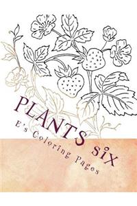 PLANTS six