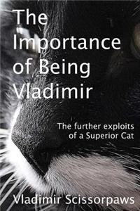 Importance of Being Vladimir