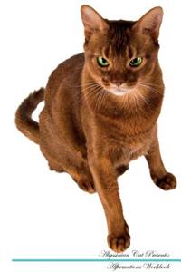Abyssinian Cat Affirmations Workbook Abyssinian Cat Presents