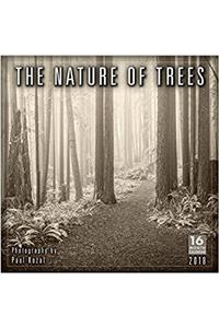 The Nature of Trees 2018 Calendar
