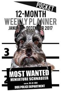 2017 Pocket Weekly Planner - Most Wanted Miniature Schnauzer