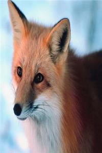 Journal Red Fox Winter: (Notebook, Diary, Blank Book)