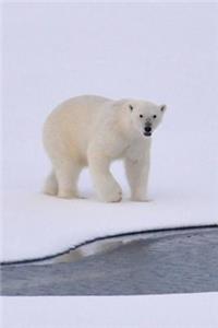 A Polar Bear by the Water on a Snowy Day Journal