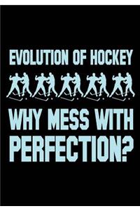 Evolution Of Hockey Why Mess With Protection